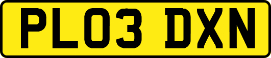 PL03DXN