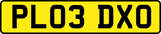 PL03DXO