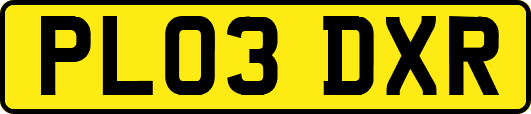 PL03DXR