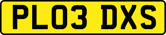 PL03DXS