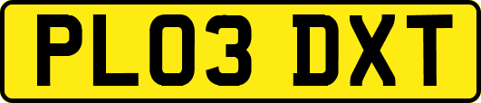 PL03DXT