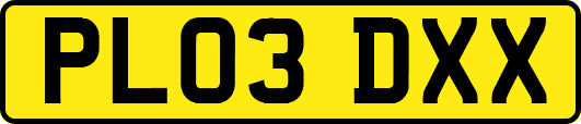 PL03DXX