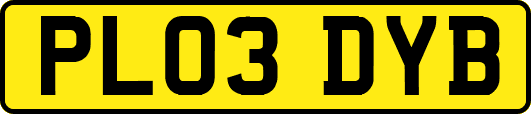 PL03DYB