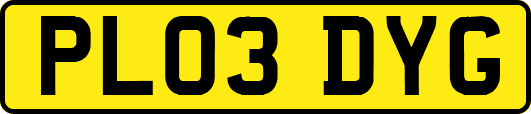PL03DYG