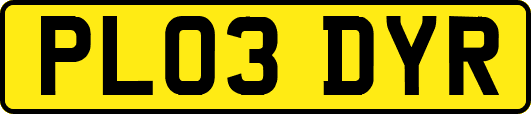 PL03DYR