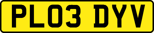 PL03DYV