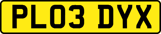 PL03DYX