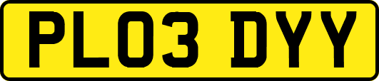 PL03DYY