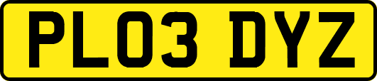 PL03DYZ