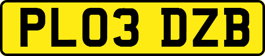 PL03DZB