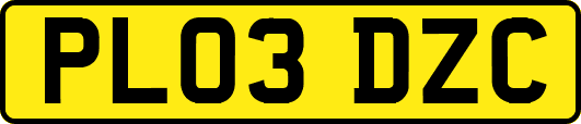 PL03DZC