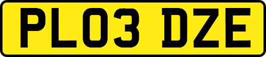 PL03DZE