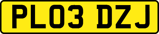 PL03DZJ