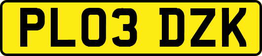 PL03DZK