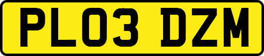 PL03DZM