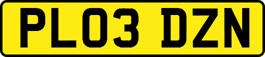 PL03DZN