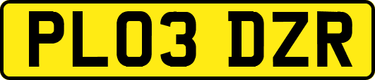 PL03DZR