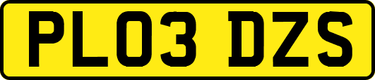 PL03DZS