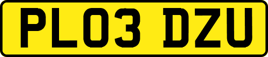PL03DZU