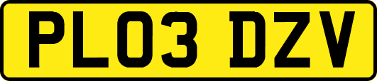 PL03DZV