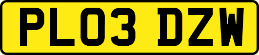 PL03DZW