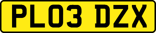 PL03DZX