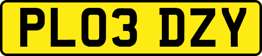 PL03DZY