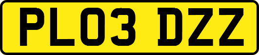 PL03DZZ