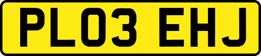 PL03EHJ