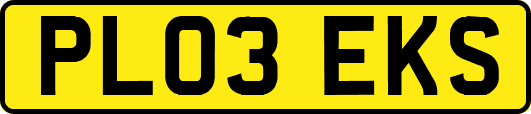 PL03EKS
