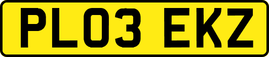 PL03EKZ