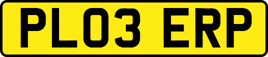 PL03ERP
