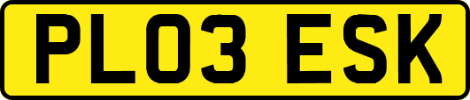 PL03ESK