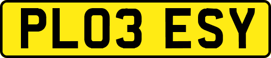 PL03ESY