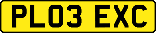 PL03EXC