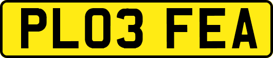 PL03FEA