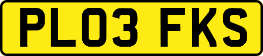 PL03FKS