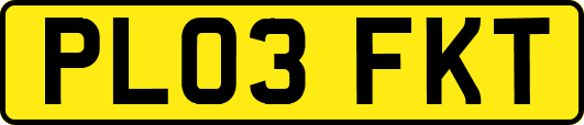 PL03FKT