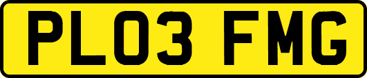 PL03FMG