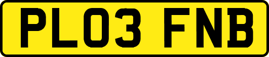 PL03FNB