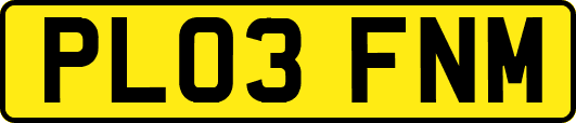PL03FNM