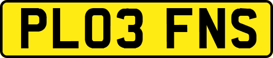 PL03FNS