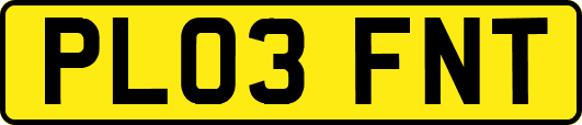 PL03FNT