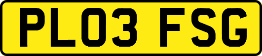 PL03FSG