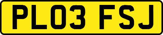 PL03FSJ