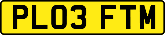 PL03FTM