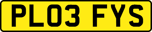 PL03FYS