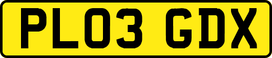 PL03GDX