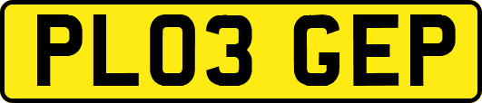 PL03GEP