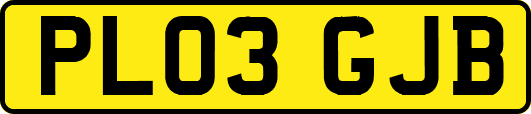 PL03GJB